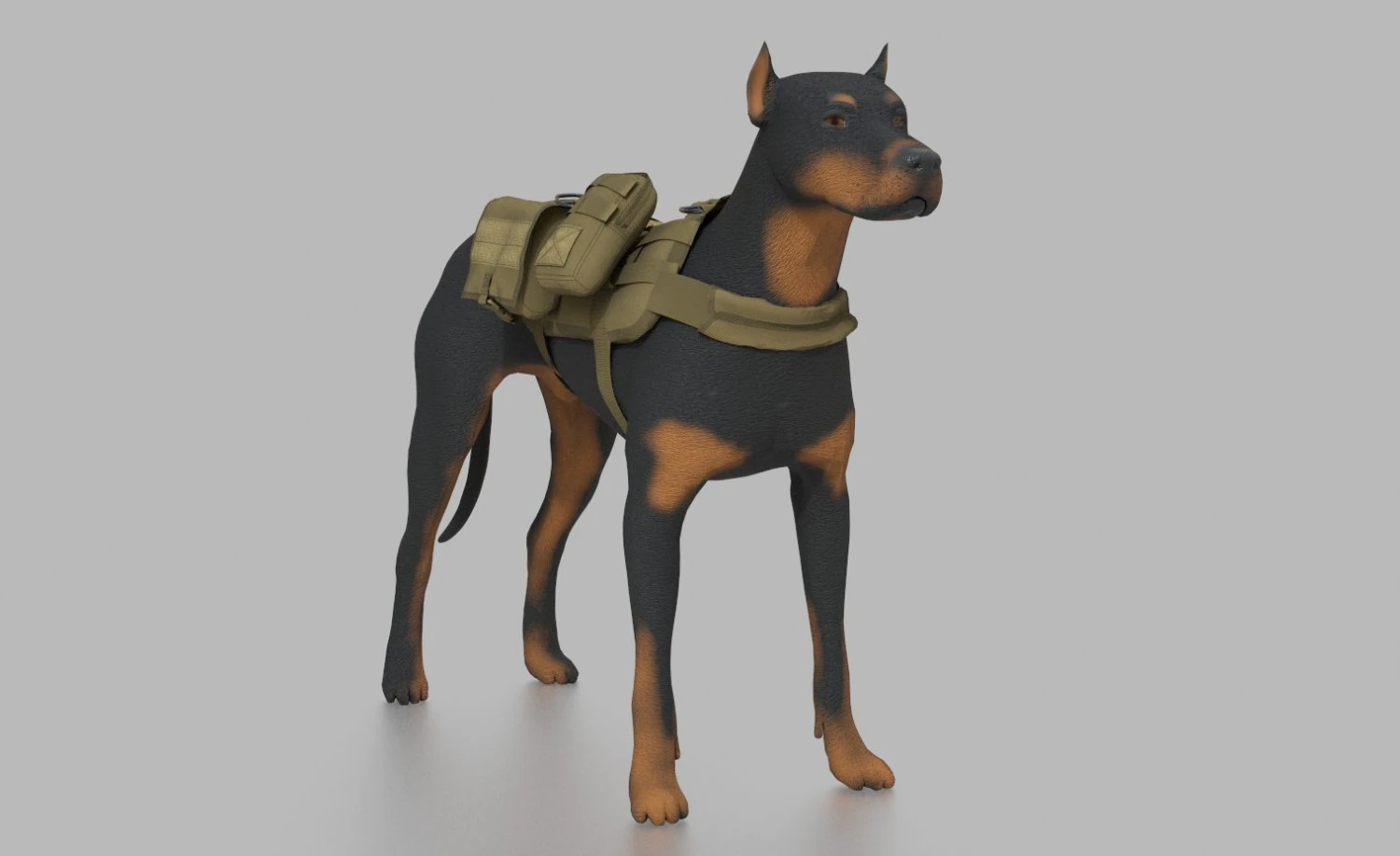 TACTICAL VEST FOR DOG 2 3D Model .c4d .max .obj .3ds .fbx .stl .blend