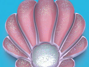 SHELL INFLATABLE MATTRESS 3D Model