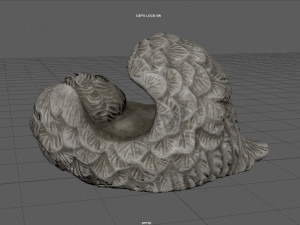 BABY BORN 3D Модель