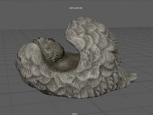 BABY BORN 3D Model