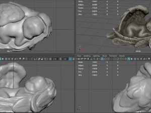 BABY BORN 3D Model