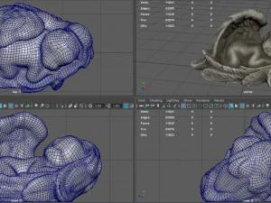 BABY BORN 3D Model