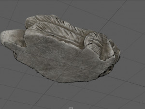 BABY BORN 3D Модель