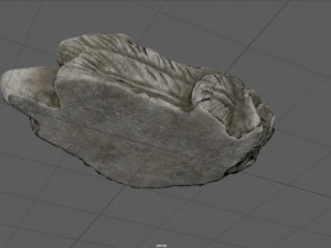 BABY BORN 3D Model