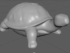GARDEN TURTLE 3D 모델