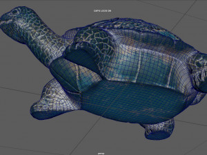 GARDEN TURTLE 3D 모델