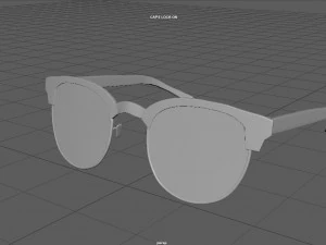Sunglasses 3D Model