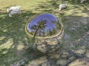 HDR 005 CG Textures