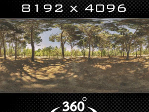 HDR002 CG テクスチャ