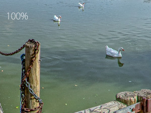 HDR 006 CG Textures