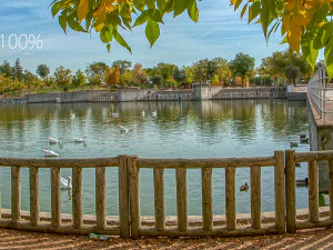 HDR 007 CG 텍스쳐