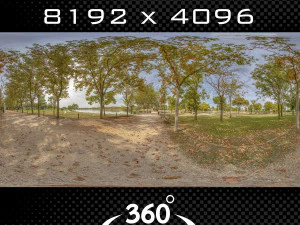 एचडीआर 011 CG टेक्स्चर्स