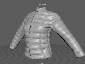 WINTER JACKET WOMAN 3D Model