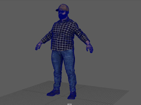 TRUCK DRIVER 3D Модель