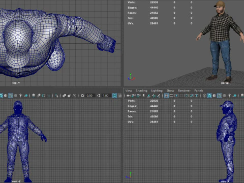 TRUCK DRIVER 3D Model