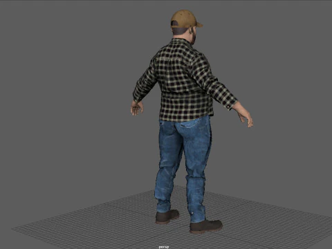 TRUCK DRIVER 3D Model