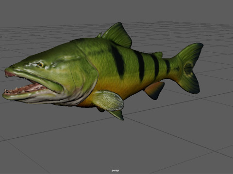 Modello di pesce Piranha Low-poly Modello 3D