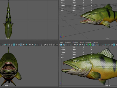 Modello di pesce Piranha Low-poly Modello 3D