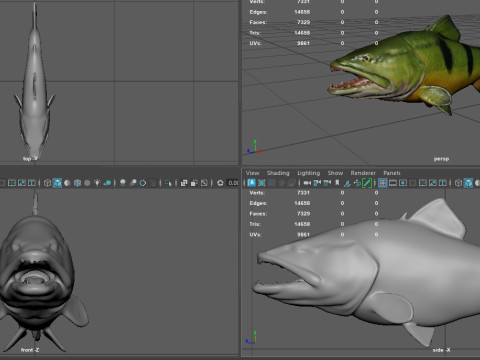 Modello di pesce Piranha Low-poly Modello 3D