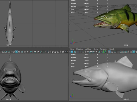 Piranha Fish Model Low-poly 3D Model