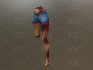 body parts blood 3D Model