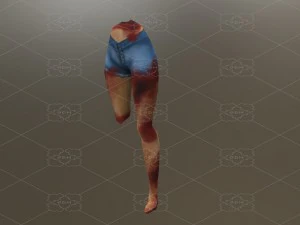 शरीर के अंगों का खून 3D मॉडल