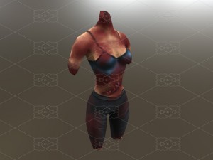 body parts blood 3D Model