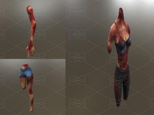 body parts blood 3D Model