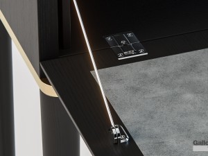 gallotti radice tama set 3Dモデル