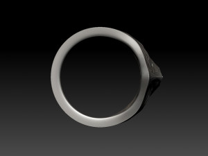 scull ring Modelo de impresión 3D