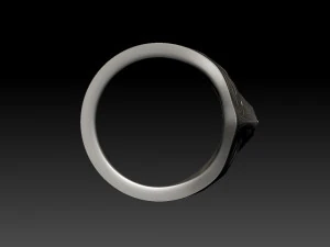scull ring 3D Print Model