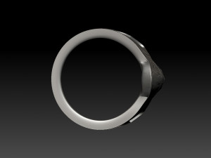 scull ring Modelo de impresión 3D