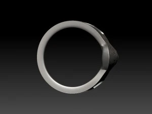 scull ring 3D Print Model