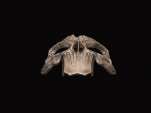 death mask - darksiders 3d print model 3D Print Model
