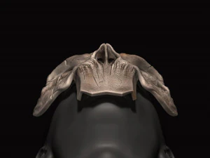 death mask - darksiders 3d print model 3D Print Model