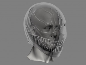 venom mask - helmet for cosplay 3D Принт Модель