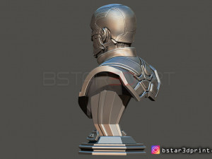 captain america bust - with 2 heads from marvel 3d print model 3D-Druckmodell