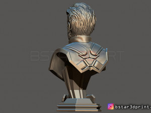 captain america bust - with 2 heads from marvel 3d print model 3D-Druckmodell