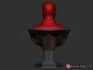 the flash bust 3D-printmodel