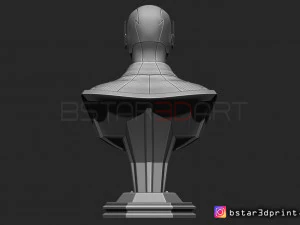 the flash bust 3D Print Model
