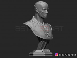 the flash bust 3D-printmodel