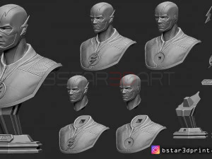 the flash bust 3D Print Model