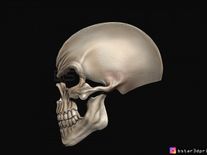 ghost rider mask -danny ketch - marvel comics 3d print model 3D Принт Модель