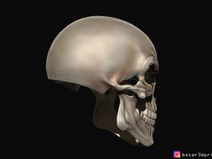 ghost rider mask -danny ketch - marvel comics 3d print model 3D Принт Модель