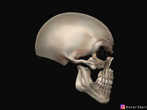 ghost rider mask -danny ketch - marvel comics 3d print model 3D Принт Модель