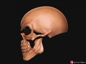 ghost rider mask -danny ketch - marvel comics 3d print model 3D Принт Модель