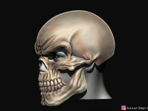 ghost rider mask -danny ketch - marvel comics 3d print model 3D Принт Модель