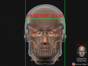 ghost rider mask -danny ketch - marvel comics 3d print model 3D Принт Модель