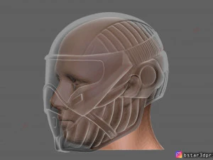 crysis helmet 3d print model 3D Print Model