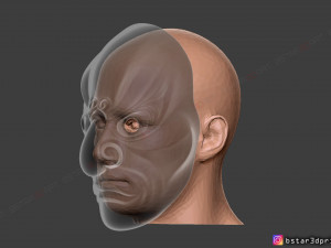 japanese bugaku mask - devil mask -halloween cosplay 3d print model Model do druku 3D
